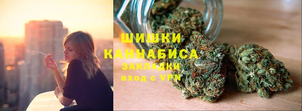 молекула духа Дмитров