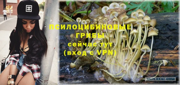 гашишное масло Елабуга