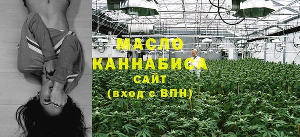 молекула духа Дмитров
