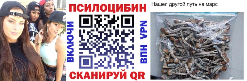 Купить закладки  Кандалакша  Псилоцибиновые грибы мухоморы 